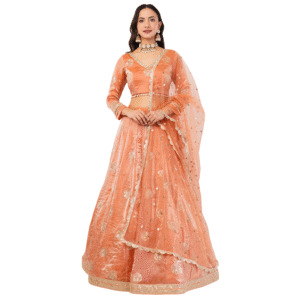 Royal Embroidered Zimmy choo Lehenga